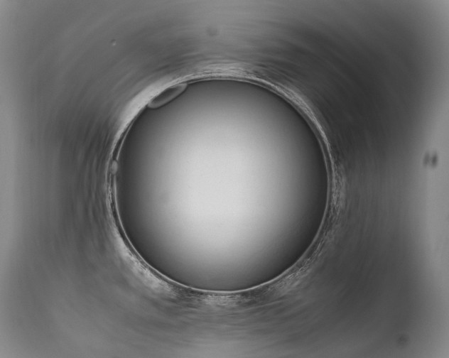 X0000111951389200907271426