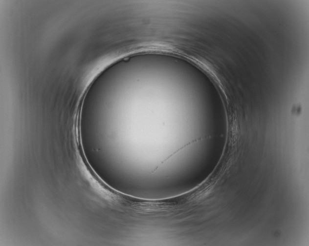 X0000111951391200907271426