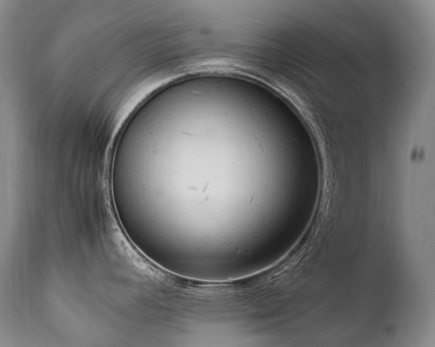X0000111951392200907271426