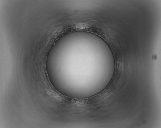 X0000111951393200907271425