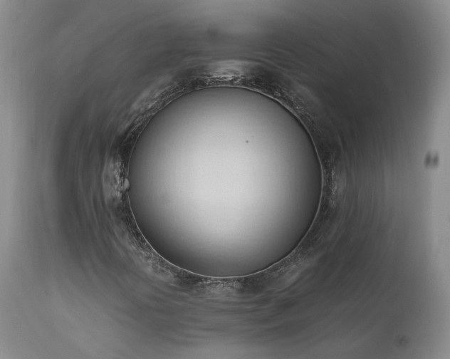 X0000111951394200907271425