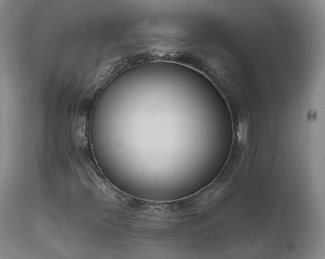 X0000111951396200907271425