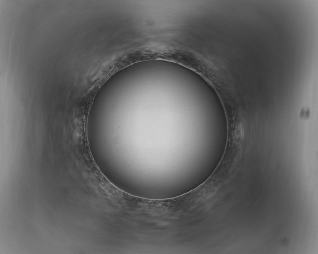 X0000111951397200907271425