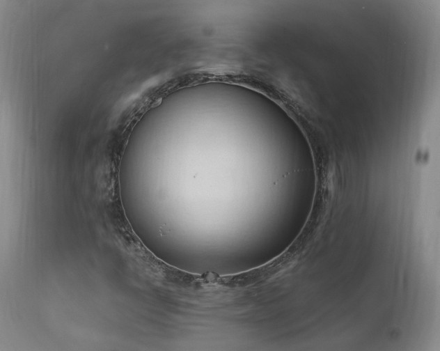 X0000111951398200907271425
