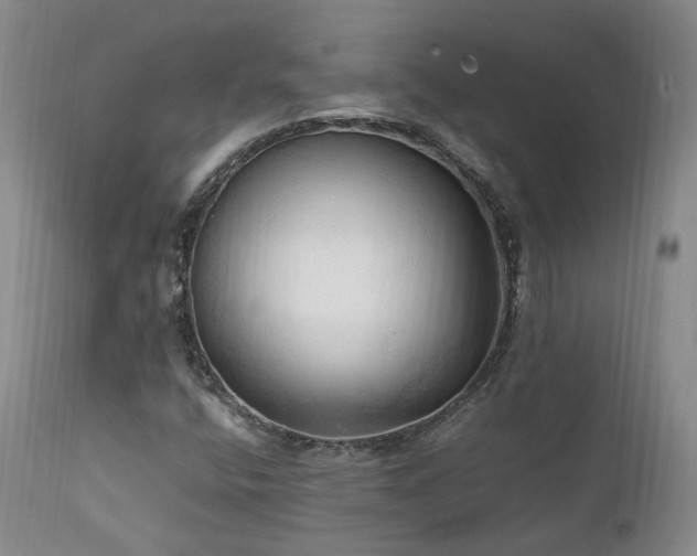 X0000111951400200907271425