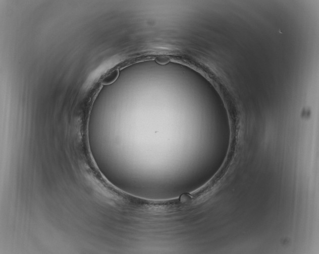 X0000111951402200907271425