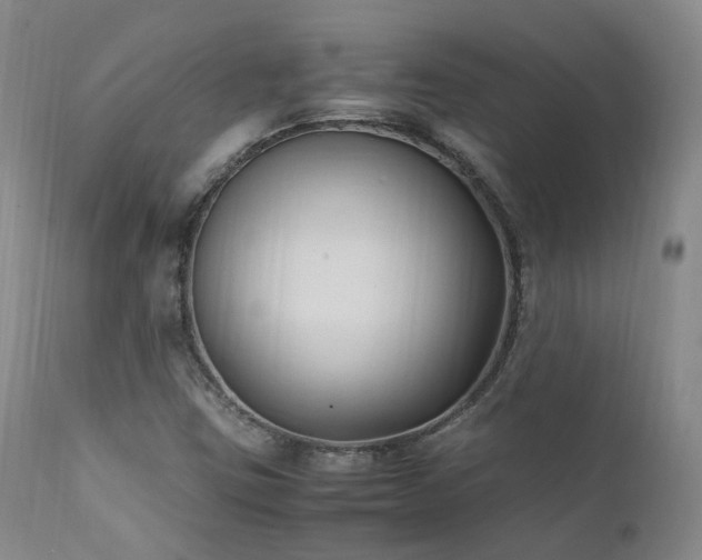 X0000111951403200907271425