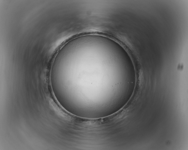 X0000111951404200907271426