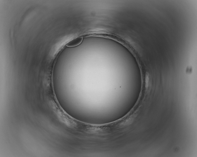X0000111951405200907271426
