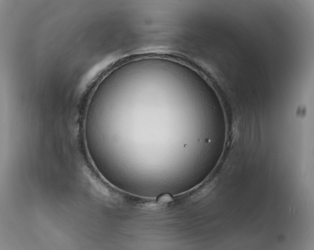 X0000111951406200907271426