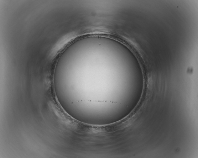 X0000111951407200907271426