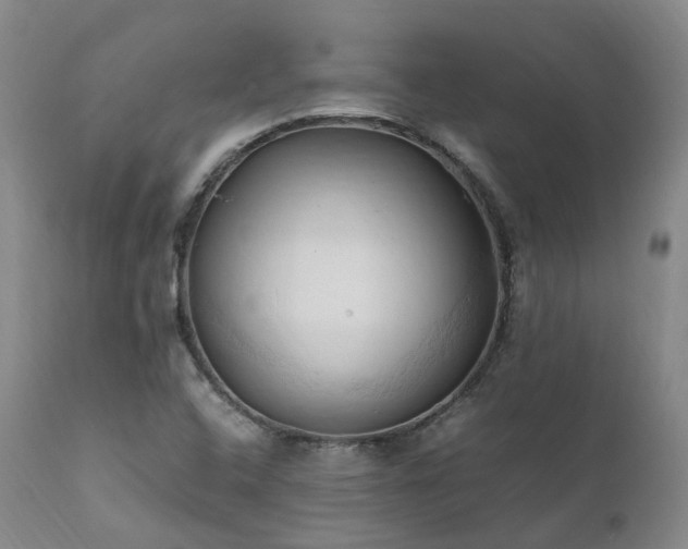 X0000111951408200907271426