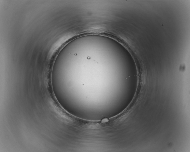 X0000111951410200907271426