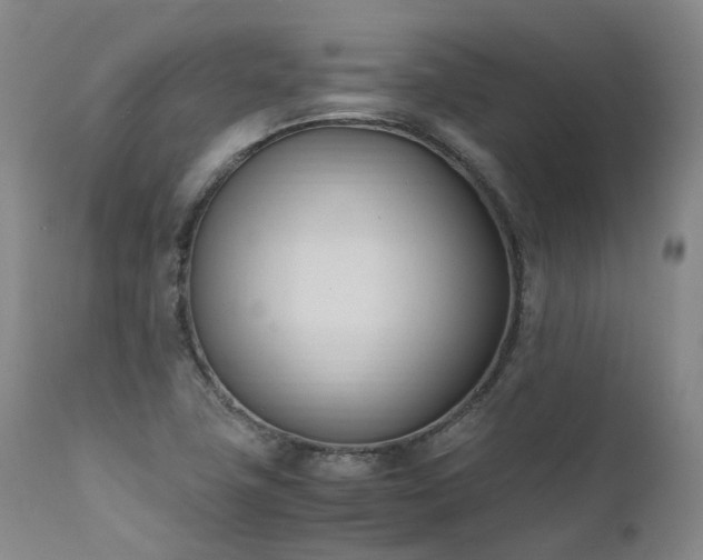 X0000111951411200907271426