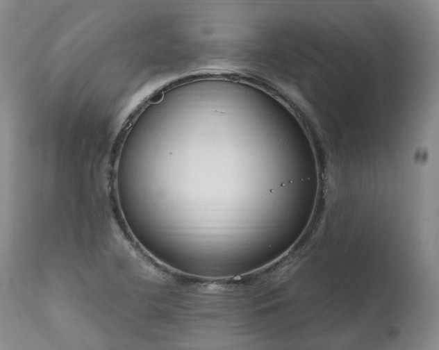 X0000111951412200907271426