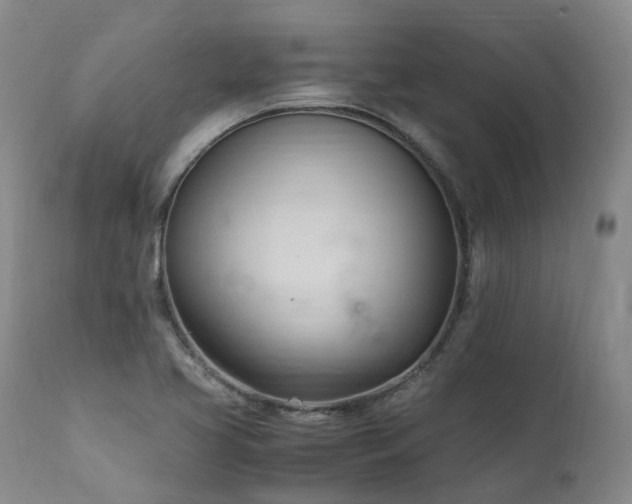 X0000111951413200907271426