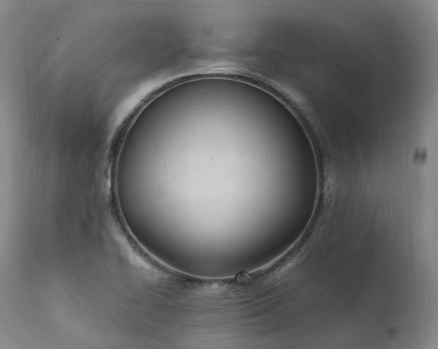X0000111951414200907271426