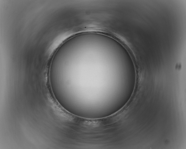 X0000111951415200907271426
