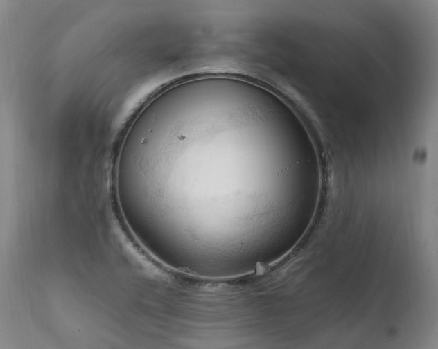 X0000111951416200907271426