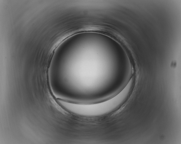 X0000111951417200907271426