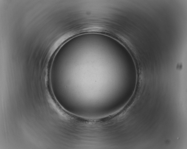 X0000111951418200907271426