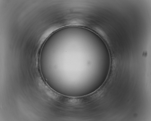 X0000111951419200907271426