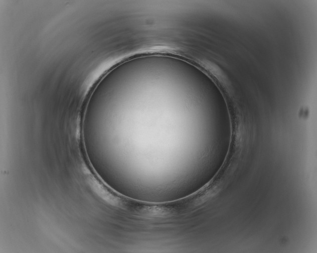 X0000111951420200907271426