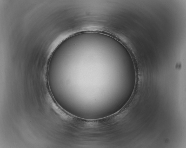 X0000111951421200907271426