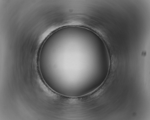 X0000111951422200907271426