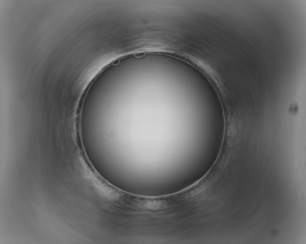 X0000111951423200907271426