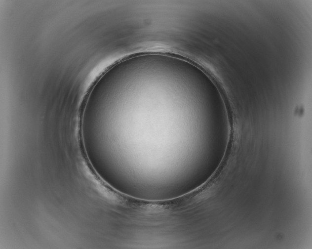 X0000111951424200907271426