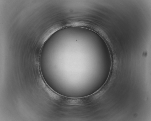 X0000111951425200907271426