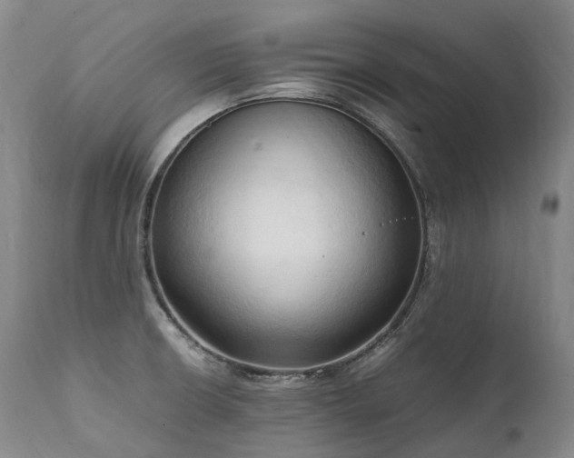 X0000111951426200907271426