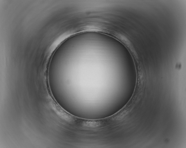 X0000111951427200907271426