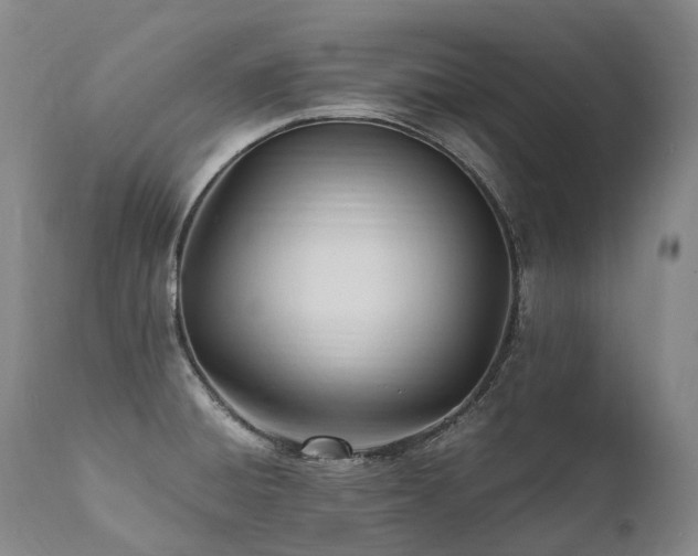 X0000111951428200907271426