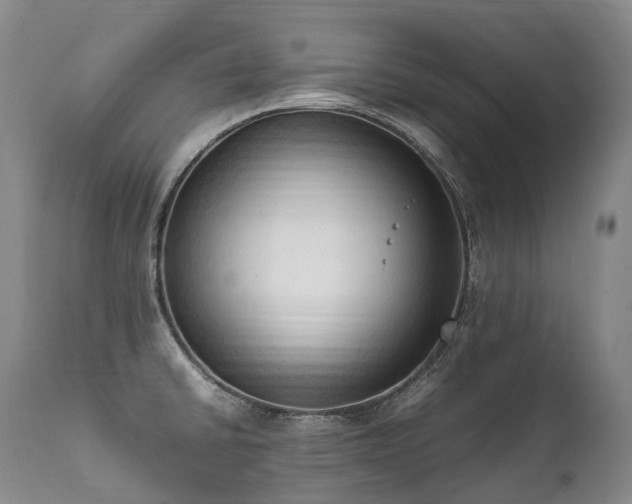 X0000111951430200907271426