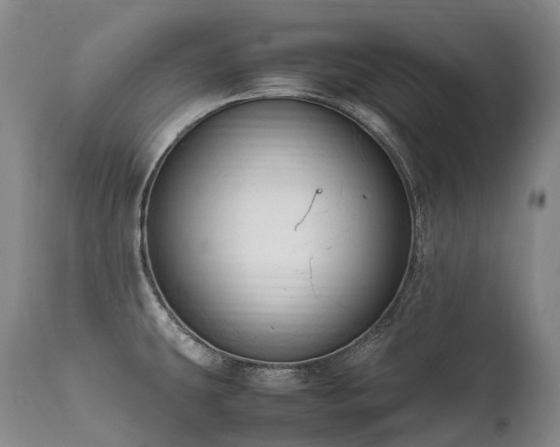 X0000111951431200907271426