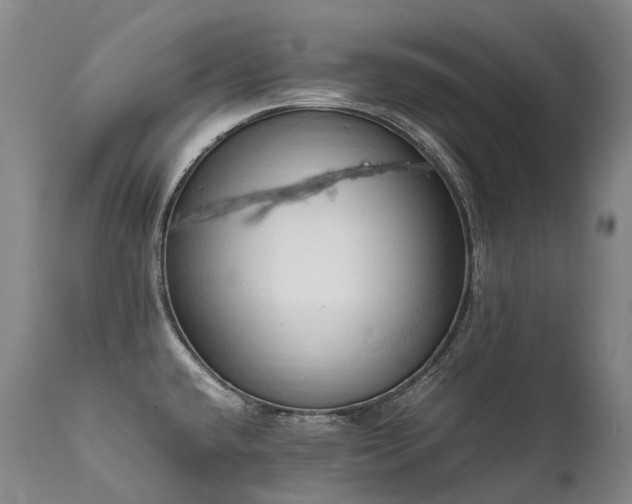 X0000111951432200907271426