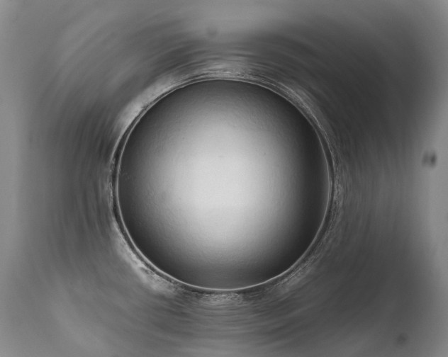 X0000111951434200907271426