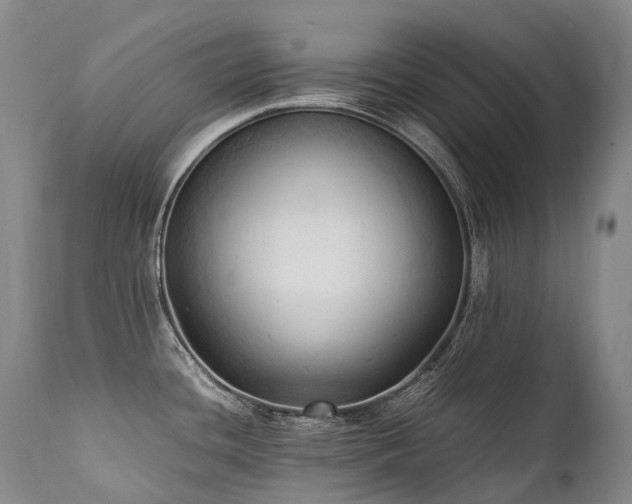X0000111951436200907271426