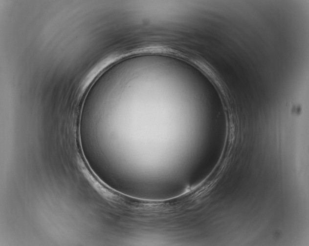 X0000111951438200907271426