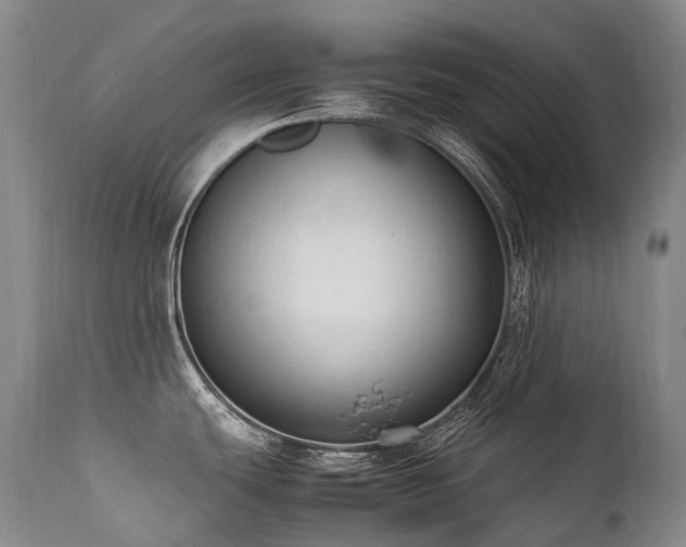 X0000111951439200907271426