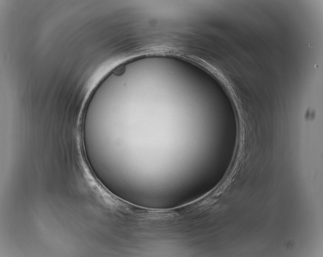 X0000111951440200907271426