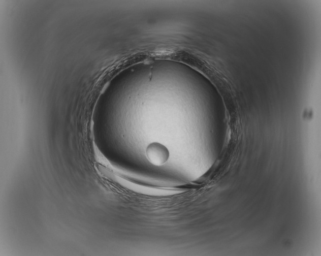 X0000111951441200907271425