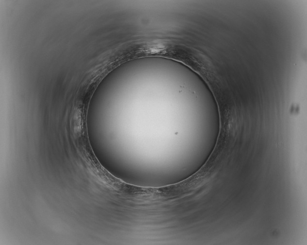 X0000111951442200907271425