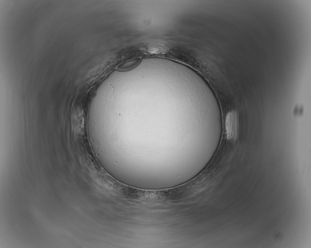 X0000111951443200907271425