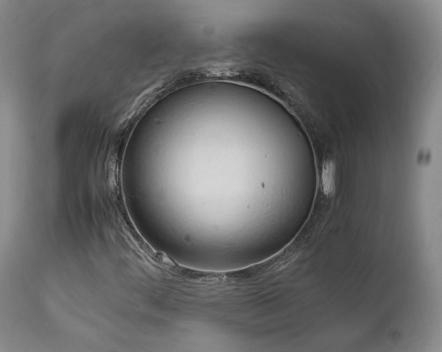 X0000111951444200907271425