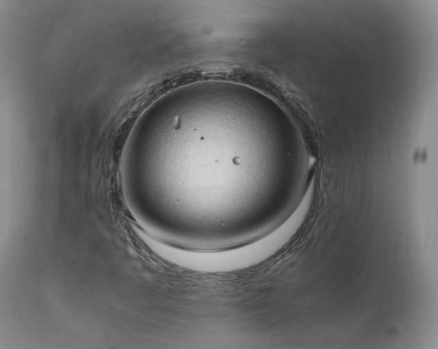 X0000111951445200907271425