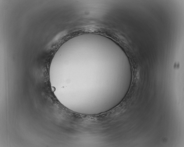 X0000111951446200907271425