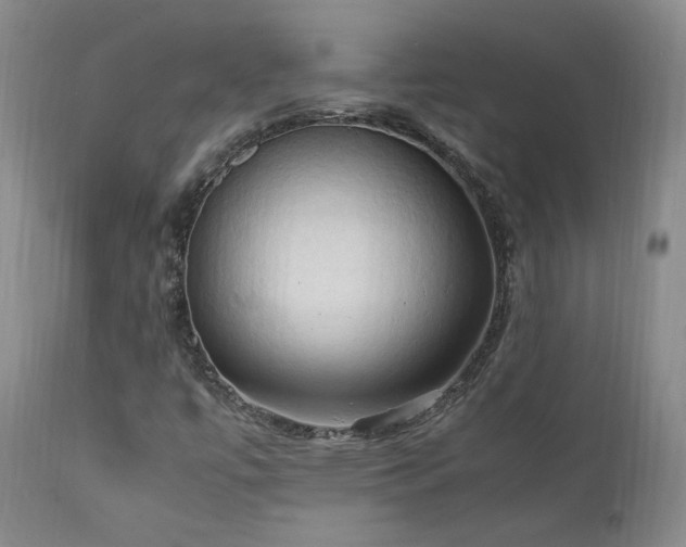 X0000111951447200907271425
